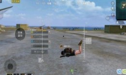 最新僚机爆料软件是什么,最新僚机爆料软件，掌握信息先机！