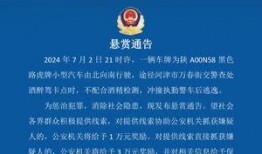 河津最新爆料消息公布,揭秘神秘事件背后的真相