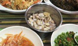 老梁爆料拉面视频播放,老梁亲授独家秘籍，视频播放引热议