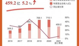 荣盛发展爆料最新消息,揭秘公司重大战略布局与未来发展动向