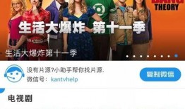 澳大利亚酒店爆料视频,揭秘幕后爆料视频真相