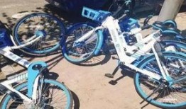 长春自行车爆料视频,揭秘城市交通新亮点