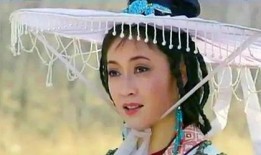 甘十九妹被轮在线观看,绝世剑客的复仇之旅