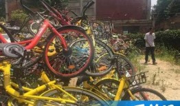 西安自行车爆料事件视频,街头冲突引发社会关注