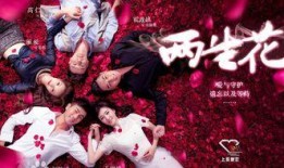 两生花电影在线观看,穿越时空的爱恋在线观影指南