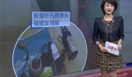 史呆芬邻居爆料视频在线观看,揭秘惊人真相，在线观看引热议