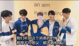 粉丝爆料某男团视频大全,某男团视频大全，精彩瞬间一网打尽！