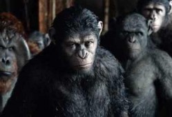 猩猿崛起在线观看,智勇重生，丛林霸主逆袭之路