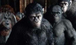 猩猿崛起在线观看,智勇重生，丛林霸主逆袭之路