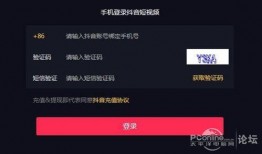 抖音爆料视频审核多久过,抖音爆料视频审核时长概述