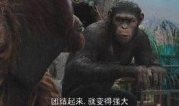 猩猿崛起在线观看,智勇重生，丛林霸主逆袭之路