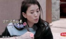 娱乐大爆料家暴女星是谁,揭秘家暴女星身份，真相令人震惊