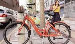 西安自行车爆料事件视频,街头冲突引发社会关注