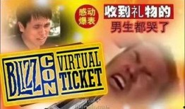 王师傅爆料暴雪视频大全,暴雪视频大全背后的精彩瞬间