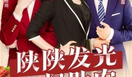 陕西4在线直播观看,实时捕捉三秦大地精彩瞬间