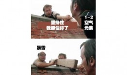 王师傅爆料暴雪视频大全,暴雪视频大全背后的精彩瞬间