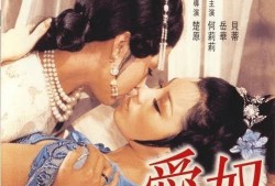 爱奴电影在线观看,穿越时空的浪漫邂逅