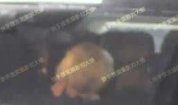 摄影刘大锤今日爆料,揭秘摄影界最新动态