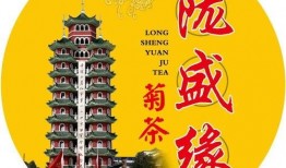 爆料新闻我的大西北,探寻丝绸之路的传奇故事