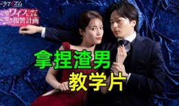 完美妻子韩剧在线观看,揭秘现代婚姻的甜蜜与挑战，在线观看开启情感之旅