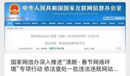 清朗行动圈内爆料是什么,圈内爆料背后的真相与影响