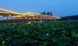 互动桌面最新爆料,颠覆性创新技术即将亮相