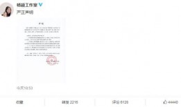 网红爆料陈翔视频播放在线观看,独家在线观看揭秘幕后真相