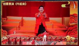 春晚 在线观看,在线观看，共享欢乐时光