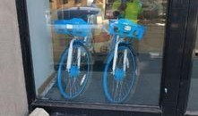 长春自行车爆料视频,揭秘城市交通新亮点