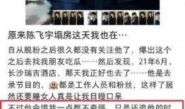 李晨爆料陈飞宇视频全集,揭秘背后惊人内幕