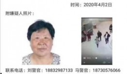 李微傲爆料迁西事件视频,真相与争议并存