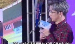 薛之谦的经历与爆料视频,从低谷逆袭到爆红，揭秘他的心酸历程与爆料真相