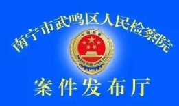 南宁武鸣爆料案件最新,真相渐明，疑云散去