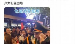 越南爆料博主视频大全集,揭秘真实越南生活与热点事件