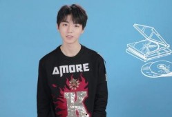 爱豆爆料王俊凯视频大全,揭秘偶像背后的真实故事