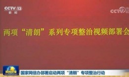 清朗行动圈内爆料是什么,圈内爆料背后的真相与影响