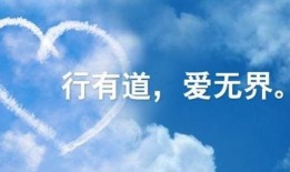爱心新闻爆料文案,新闻爆料见证人间真情