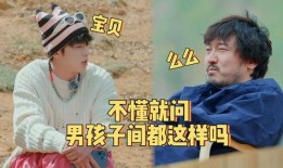 娱乐圈爆料君王鹤棣,娱乐圈爆料君，揭秘明星幕后故事