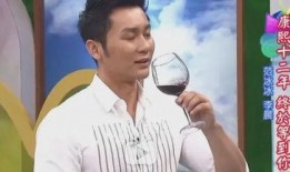 李晨爆料陈飞宇视频全集,揭秘背后惊人内幕