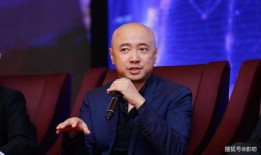 鲍晓爆料徐峥视频播放,真相与争议