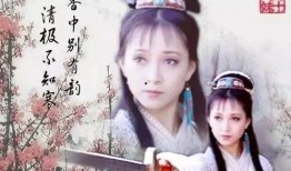 甘十九妹被轮在线观看,绝世剑客的复仇之旅