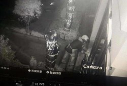 如画爆料的视频,一场视觉盛宴背后的故事