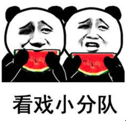 娱乐圈吃瓜的表情包图片