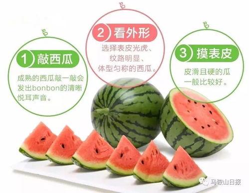 吃瓜娱乐社大咖,揭秘娱乐圈幕后风云